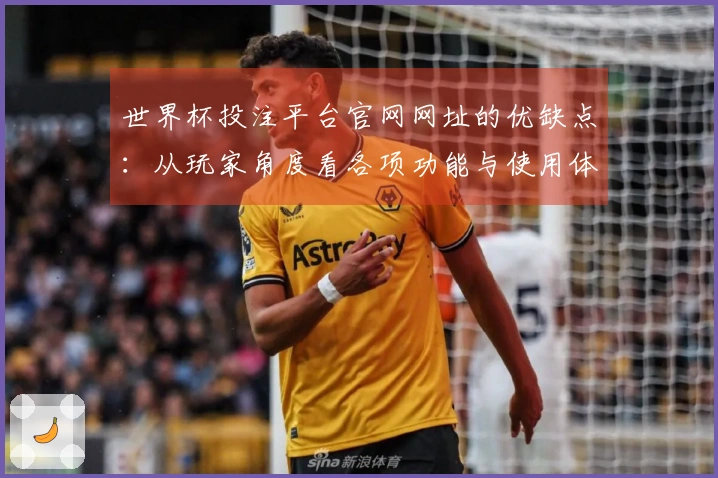 世界杯投注平台官网网址的优缺点：从玩家角度看各项功能与使用体验