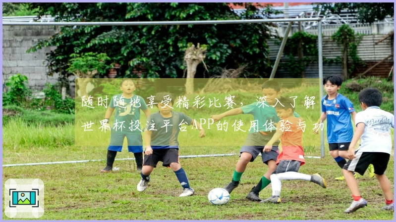 随时随地享受精彩比赛，深入了解世界杯投注平台APP的使用体验与功能优势