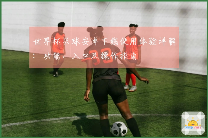 世界杯买球安卓下载使用体验详解：功能、入口及操作指南