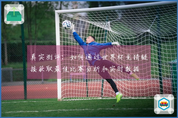 真实测评：如何通过世界杯竞猜链接获取最佳比赛分析和实时数据