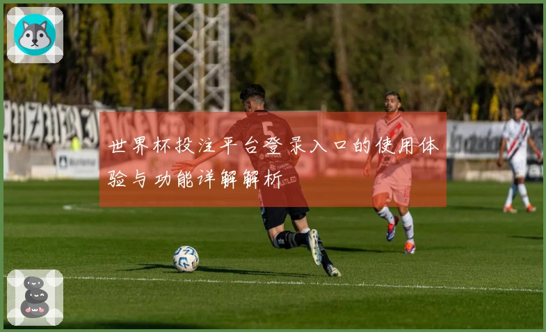 世界杯投注平台登录入口的使用体验与功能详解解析