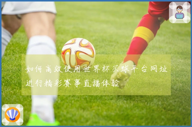 如何高效使用世界杯买球平台网址进行精彩赛事直播体验