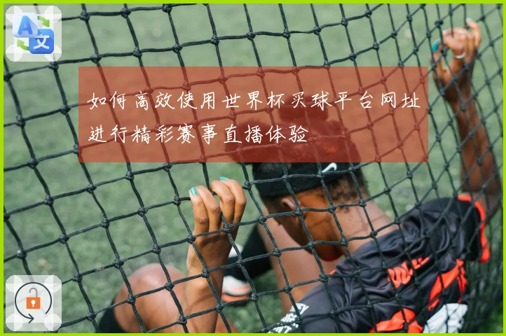 如何高效使用世界杯买球平台网址进行精彩赛事直播体验