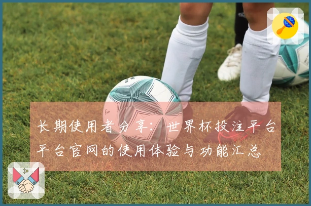 长期使用者分享：世界杯投注平台平台官网的使用体验与功能汇总