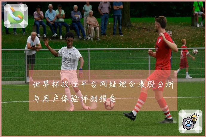 世界杯投注平台网址综合表现分析与用户体验评测报告