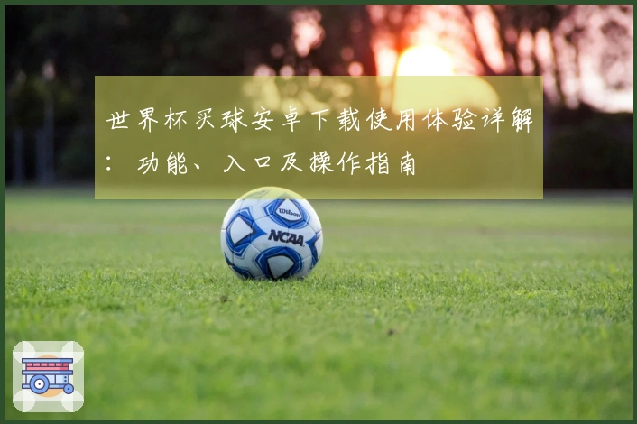 世界杯买球安卓下载使用体验详解:功能、入口及操作指南