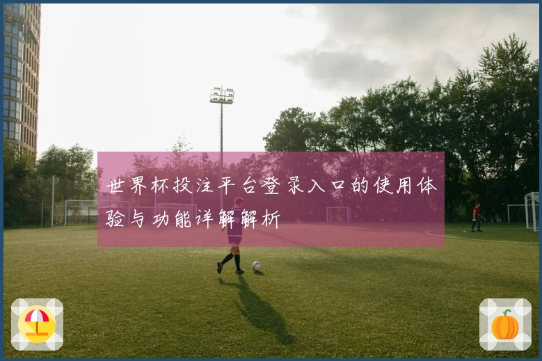 世界杯投注平台登录入口的使用体验与功能详解解析