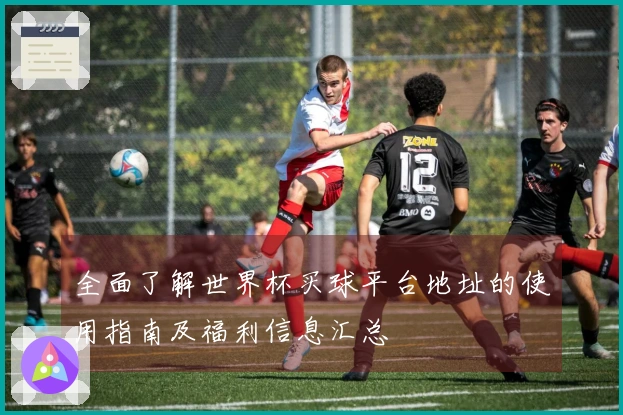 全面了解世界杯买球平台地址的使用指南及福利信息汇总
