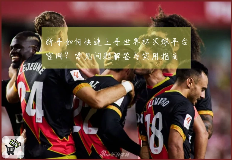 新手如何快速上手世界杯买球平台官网?常见问题解答与实用指南
